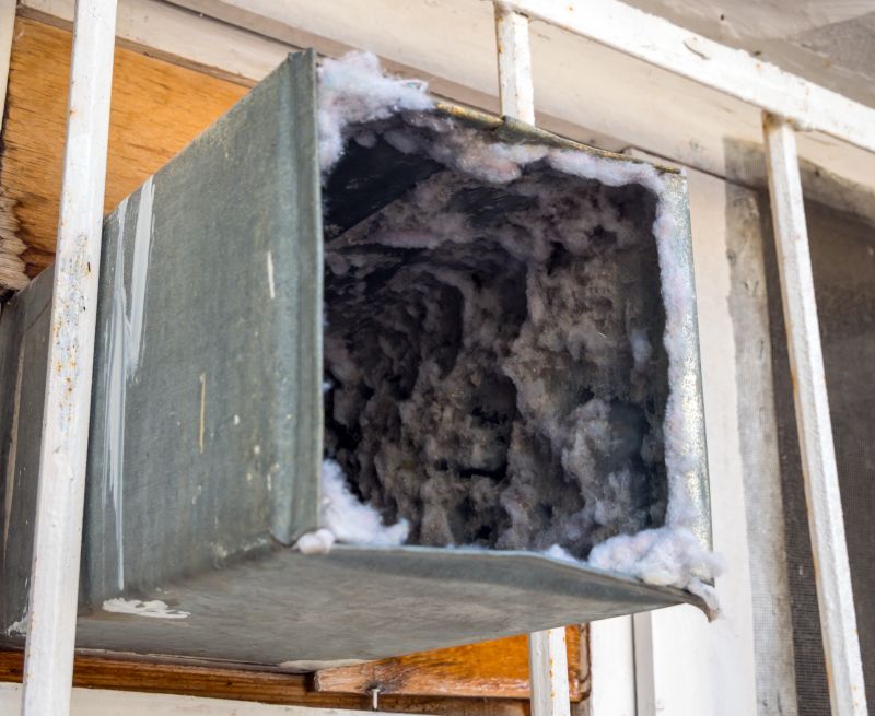 Air Duct Mold Removal in Plano, TX