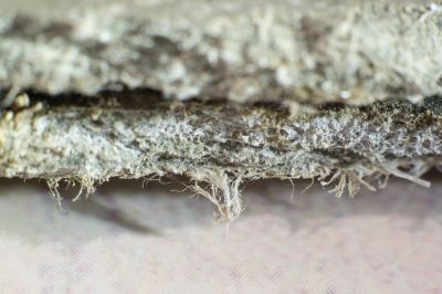 Asbestos Remediation in Bergen County, NJ