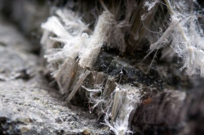 Asbestos Testing Service in Monmouth County, NJ