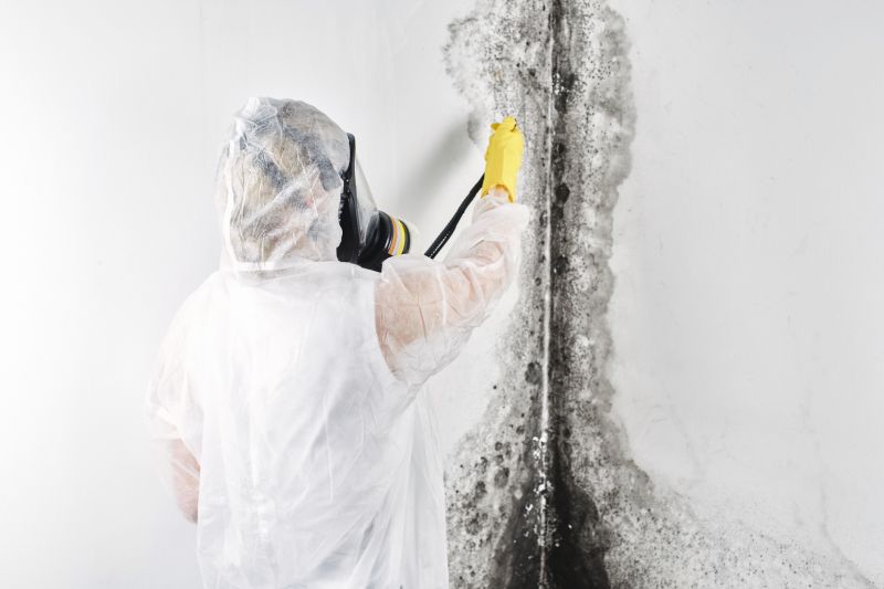 Attic Mold Remediation in Essex County, NJ