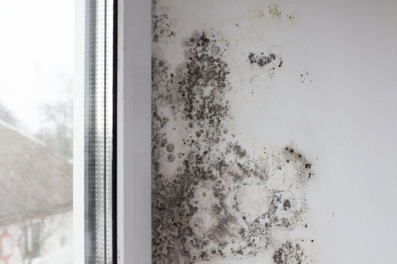 Attic Mold Removal in Frederick, MD