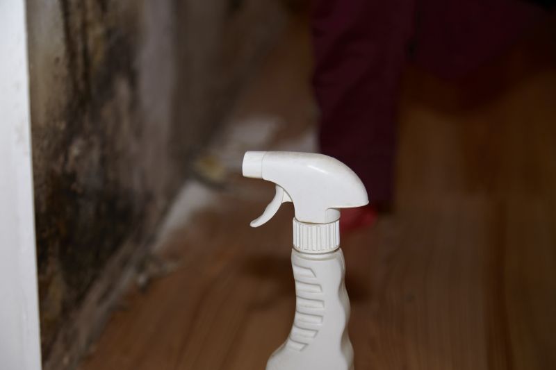 Attic Mold Removal in Bergen County, NJ
