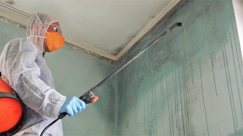 Basement Mold Remediation in West Palm Beach, FL
