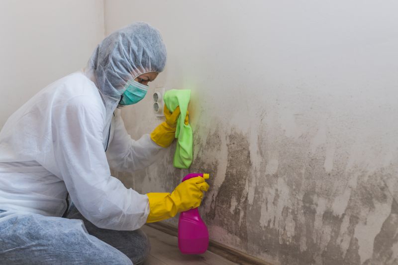 Basement Mold Removal in Arlington, TX