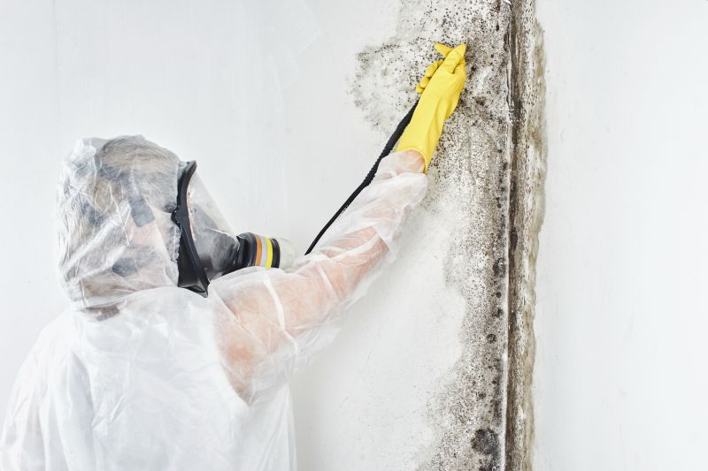 Black Mold Abatement
