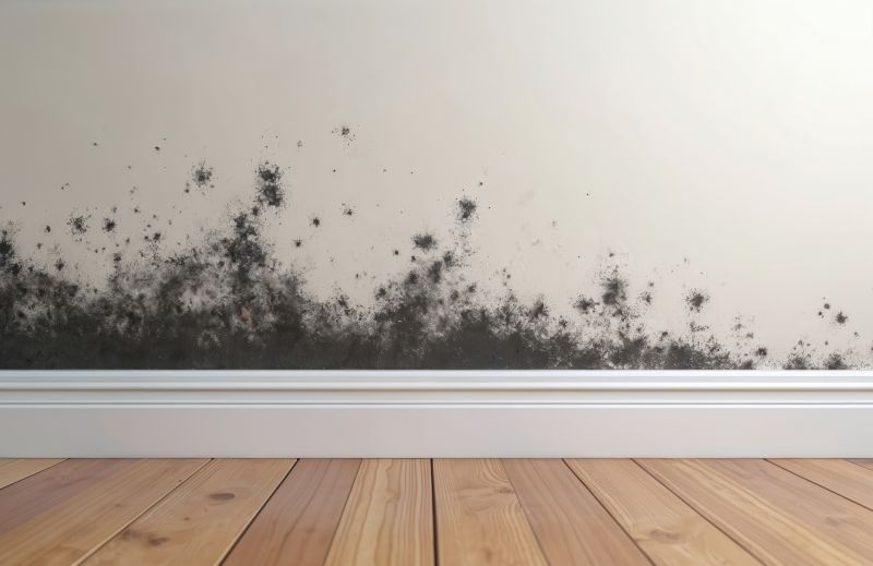 Black Mold Remediation in Arlington, TX