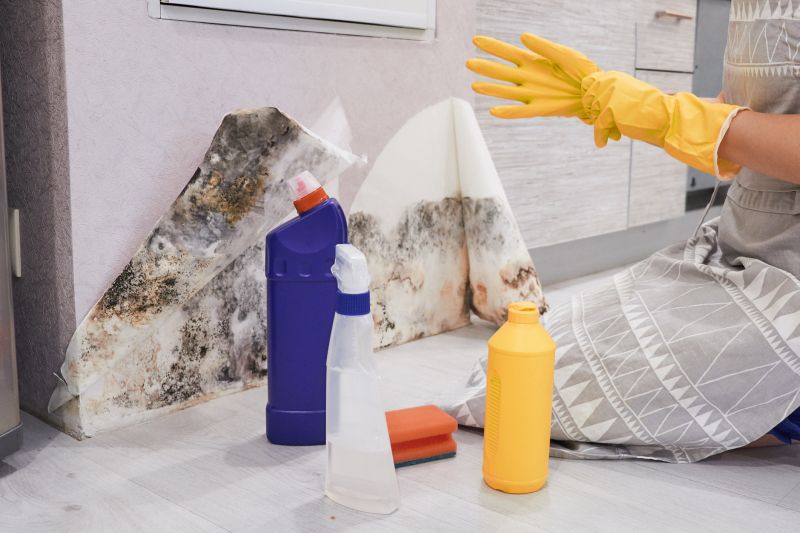 Black Mold Remediation in Arlington, TX