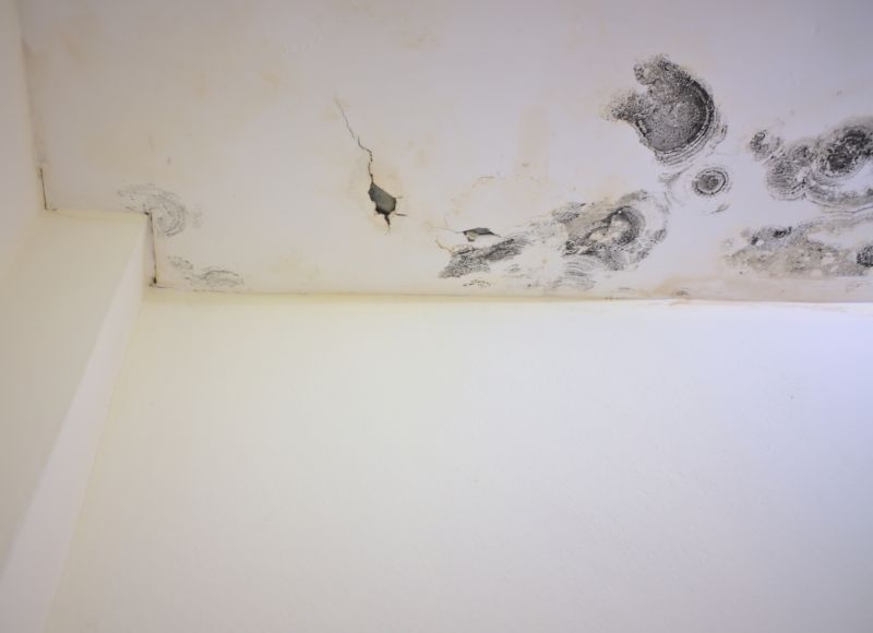 Ceiling Mold Removal in Weatherford, TX