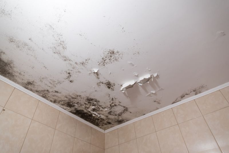 Ceiling Mold Removal in Frederick, MD