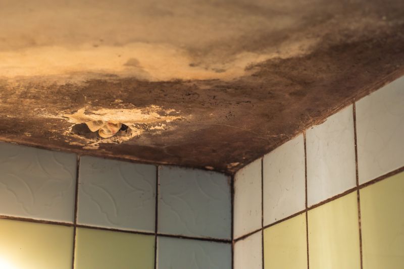 Ceiling Mold Removal in Fort Worth, TX