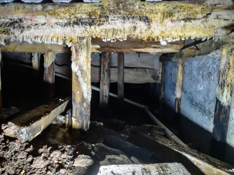 Crawl Space Mold Removal in Dallas, TX