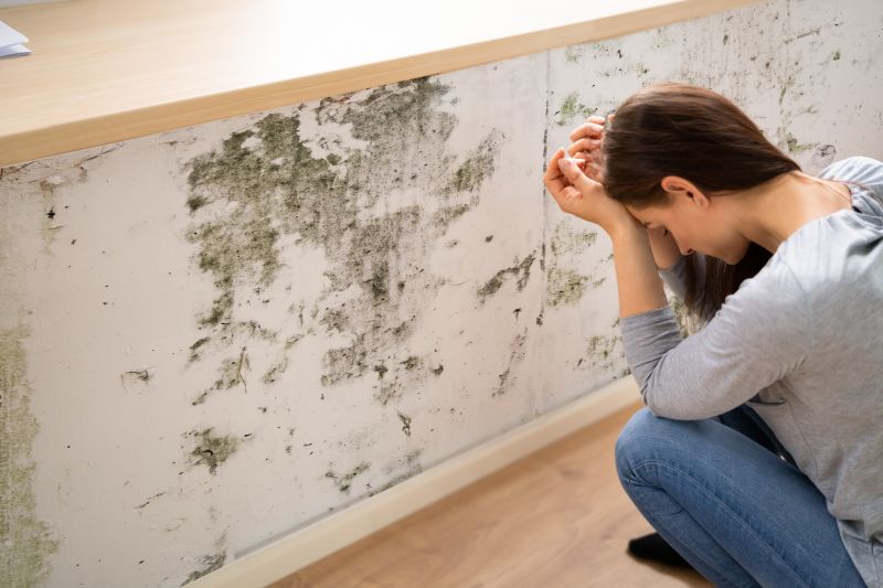 Mold Abatement in Pompano Beach, FL