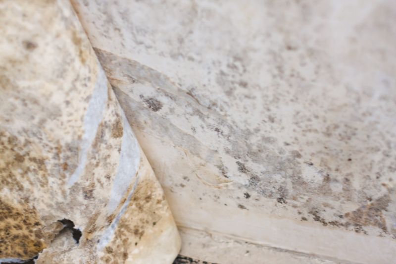 Mold Abatement Service in Palm Beach County, FL