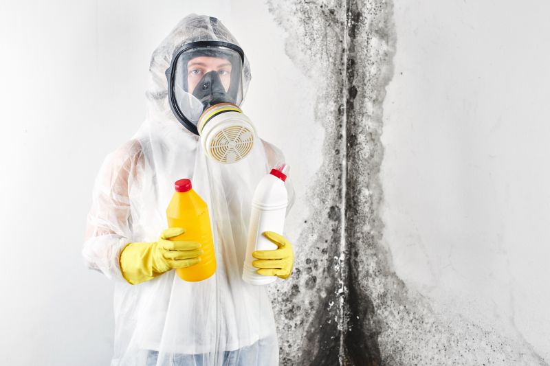 Mold Cleanup Service in Boynton Beach, FL