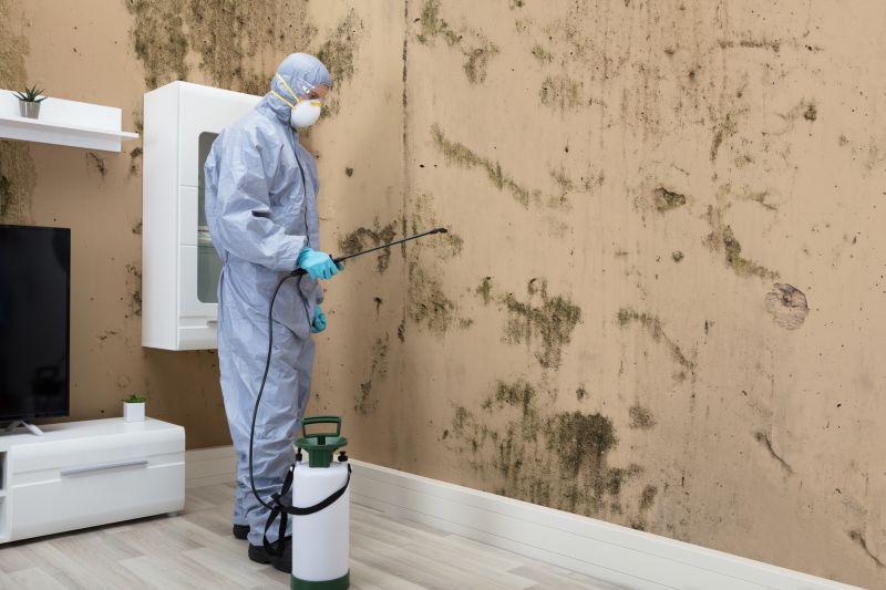 Mold Control in Rockwall, TX