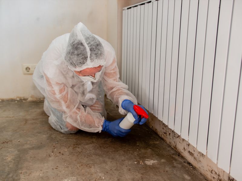 Mold Mitigation Service in Rockwall, TX