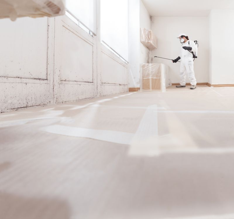 Mold Mitigation Service in Frederick, MD