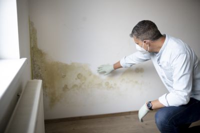 Mold Remediation Service in Pompano Beach, FL