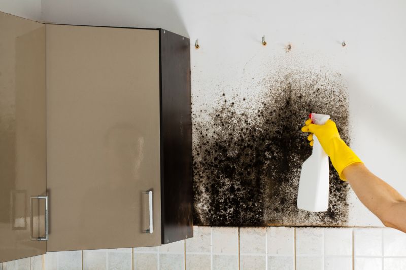 Mold Removal in Weatherford, TX