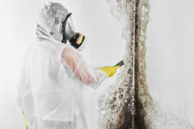 Mold Removal in Frederick, MD