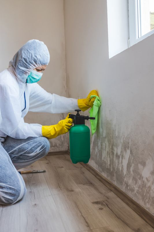 Mold Removal in Frisco, TX
