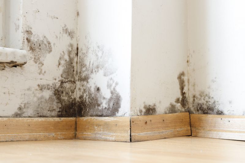 Mold Restoration in Boca Raton, FL