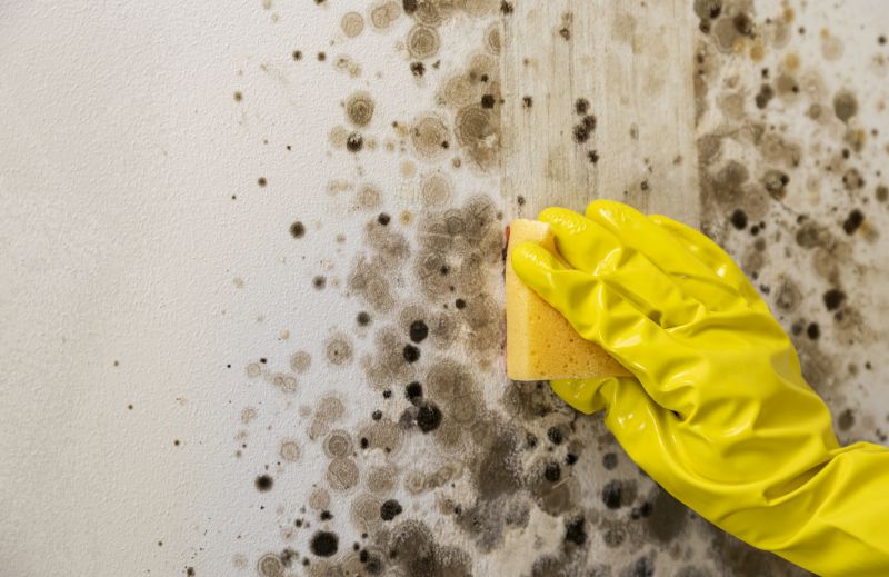 Mold Restoration in Pompano Beach, FL