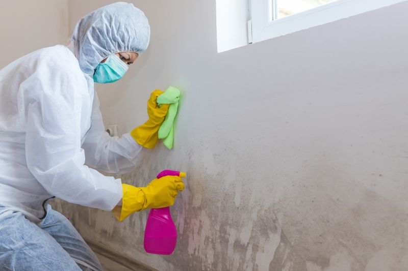 Mold Restoration in Plano, TX