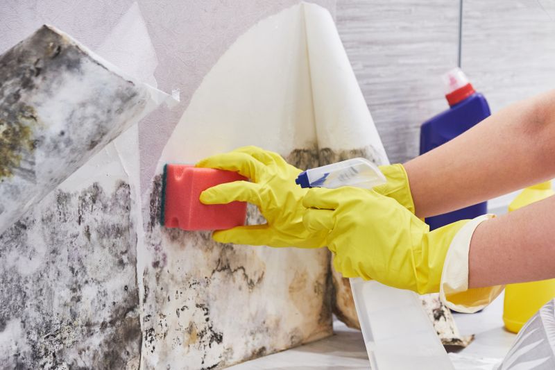 Mold Restoration in Plano, TX