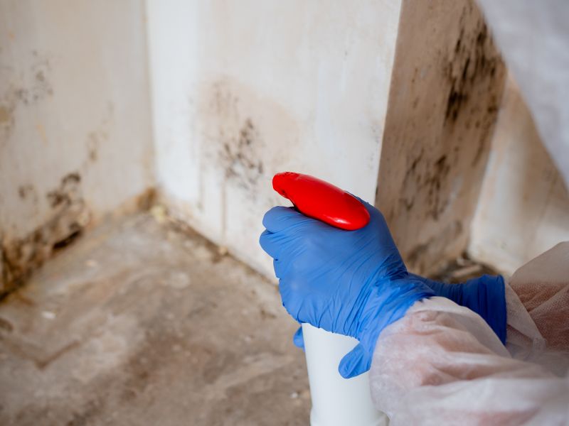Mold Restoration in Mckinney, TX