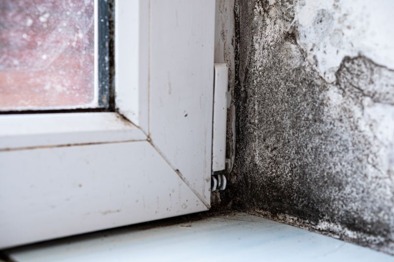 Mold Treatment Service in Bergen County, NJ