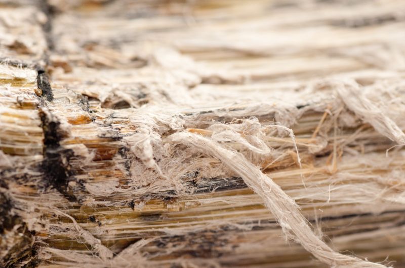 Vermiculite Remediation in Essex County, NJ