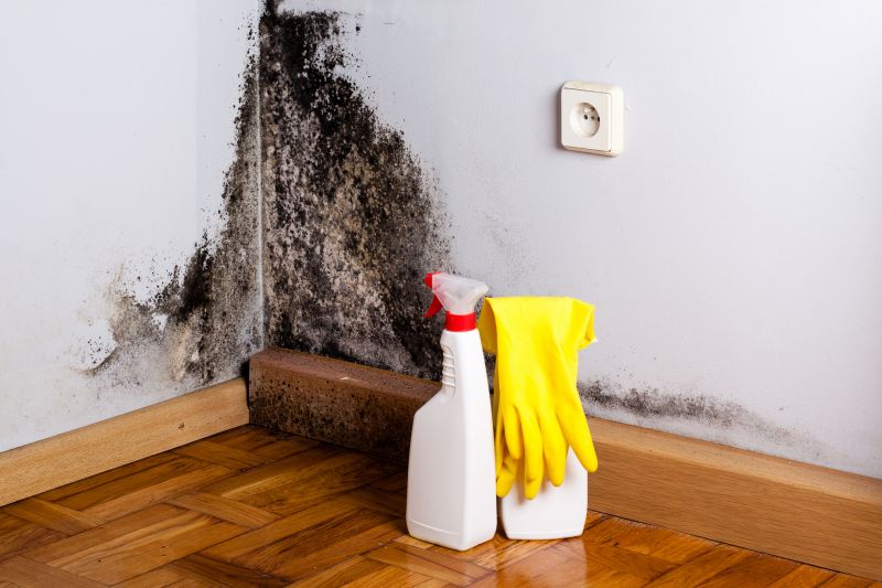 White Mold Mitigation in Arlington, TX
