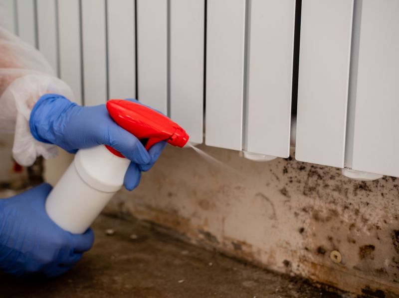 White Mold Mitigation in Frederick, MD