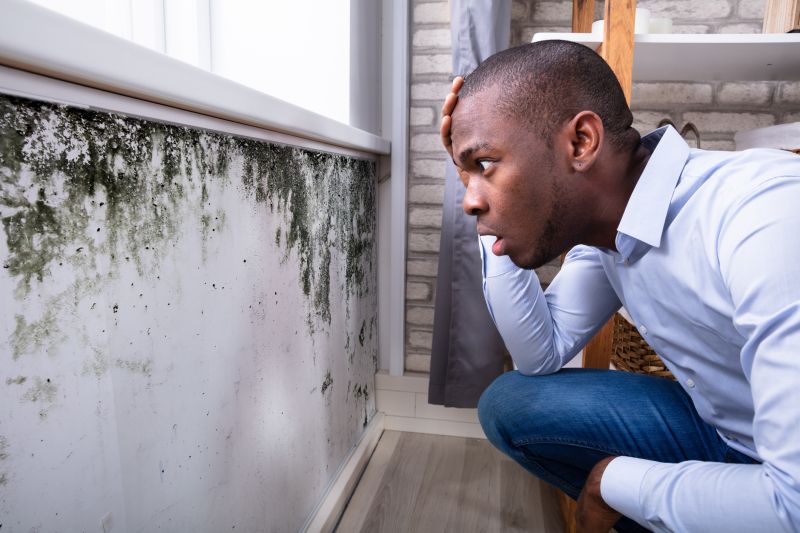 Assessing mold growth