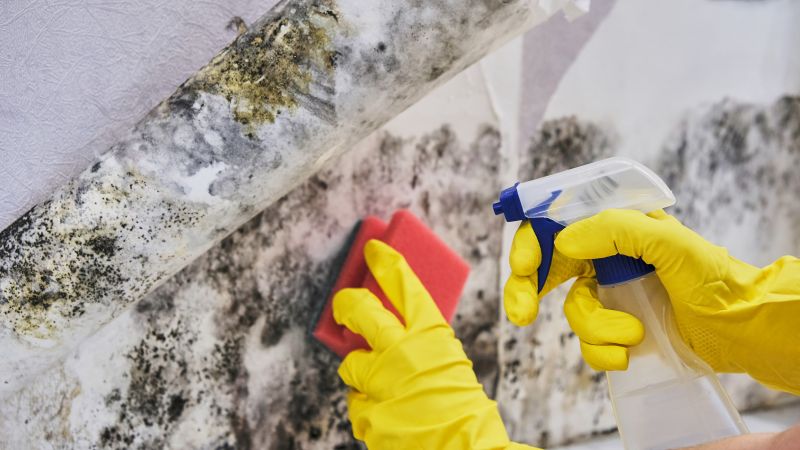 Scheduling mold removal