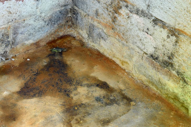 Basement Mold Removal in Arlington, TX