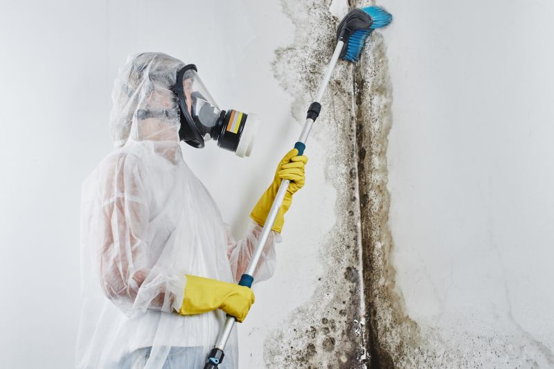 Contact About Black Mold Abatement