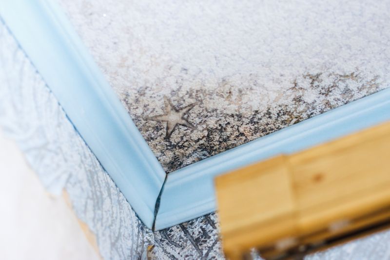 Ceiling Mold Removal in Plano, TX
