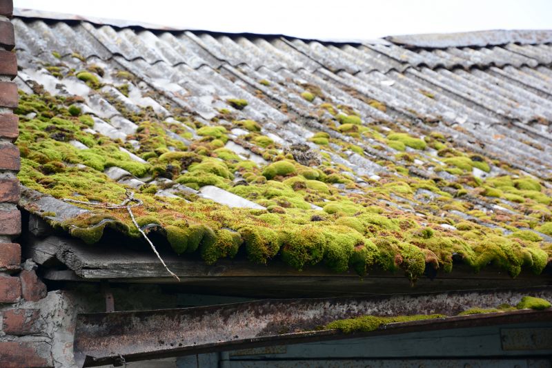 Garage Asbestos Removal in Old Bridge, NJ