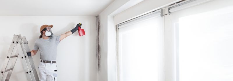 White Mold Mitigation in Frederick, MD